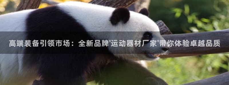 熊猫体育娱乐:高端装备引领市场:全新品牌\'运动器材厂家\'