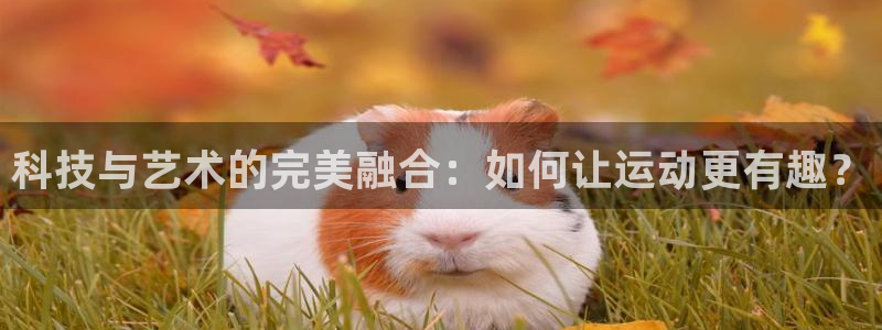 熊猫体育官方:科技与艺术的完美融合:如何让运动更有趣?