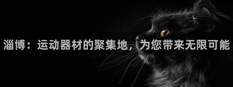 熊猫体育娱乐首页官网下载:淄博:运动器材的聚集地,为您带来无