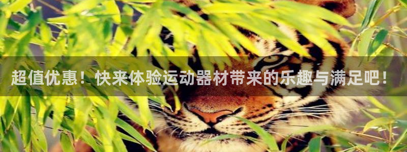 熊猫体育官网下载平台注册:超值优惠!快来体验运动器材带来的乐