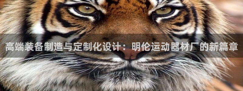熊猫体育娱乐40996:高端装备制造与定制化设计:明伦运动器